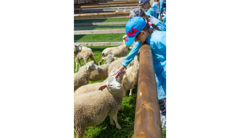Hotel CROCUS **** Vysoké Tatry